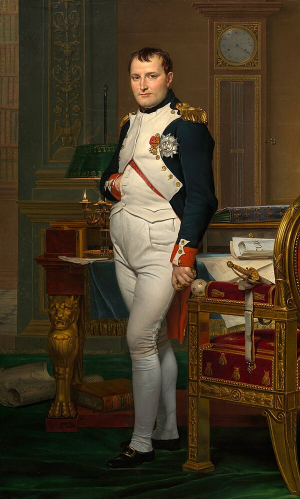 Napoleon Bonaparte portrait